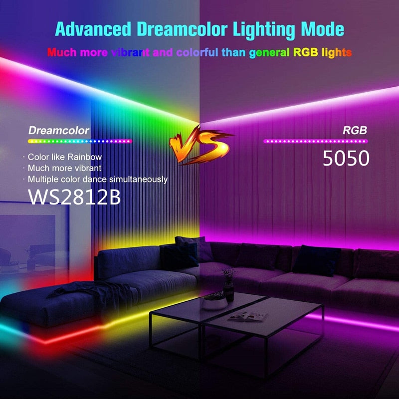 LED Strip Light RGBIC WS2812B SMD 5050 Bluetooth Remote Rainbow Chasing Effect Flexible Diode Tape 20M TV BackLight Room Decor