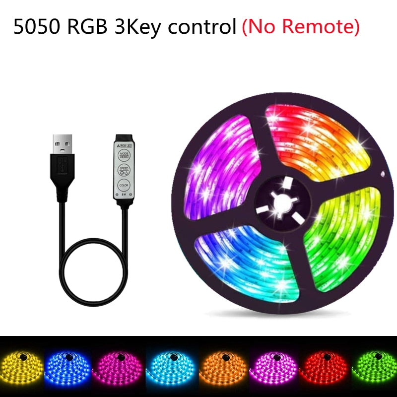 LED Strip Light RGBIC WS2812B SMD 5050 Bluetooth Remote Rainbow Chasing Effect Flexible Diode Tape 20M TV BackLight Room Decor