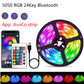 LED Strip Light RGBIC WS2812B SMD 5050 Bluetooth Remote Rainbow Chasing Effect Flexible Diode Tape 20M TV BackLight Room Decor