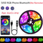 LED Strip Light RGBIC WS2812B SMD 5050 Bluetooth Remote Rainbow Chasing Effect Flexible Diode Tape 20M TV BackLight Room Decor